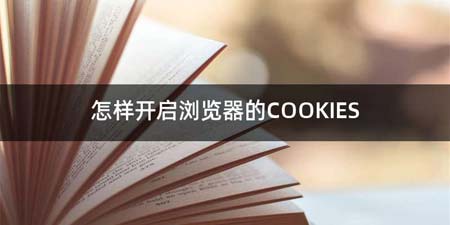 怎么开启浏览器的COOKIES