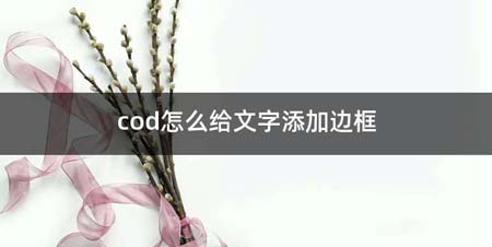 cod如何给文字添加边框