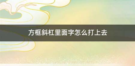 方框斜杠里面字如何打上去