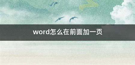 word如何在前面加一页