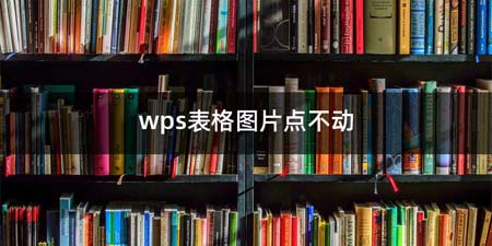 wps表格图片点不动