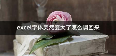 excel字体突然变大了如何调回来