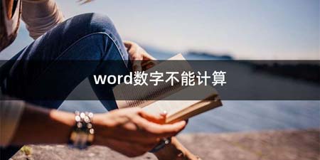 word数字不能计算