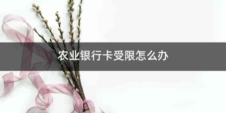 农业银行卡受限怎么办