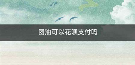 团油可以花呗支付吗