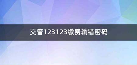 交管123123缴费输错密码
