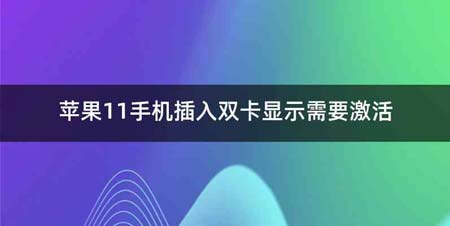 苹果11手机插入双卡显示需要激活