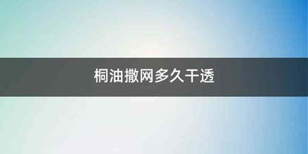桐油撒网多久干透
