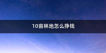 10亩林地怎么挣钱