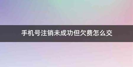 手机号注销未成功但欠费怎么交