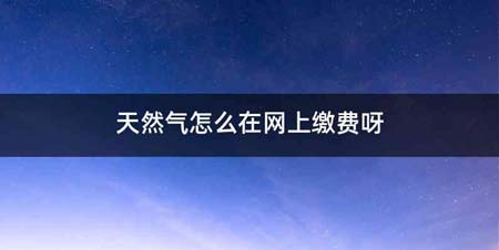天然气怎么在网上缴费呀