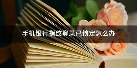 手机银行指纹登录已锁定