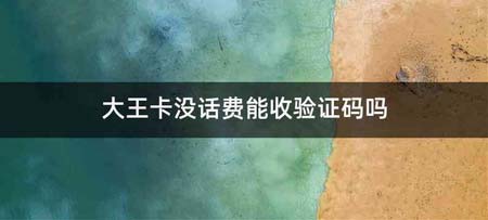 大王卡没话费能收验证码吗