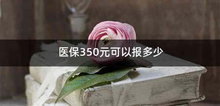 医保350元可以报多少