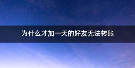 为什么才加一天的好友无法转账