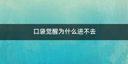 口袋觉醒为什么进不去
