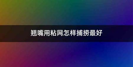 翘嘴用粘网怎样捕捞最好