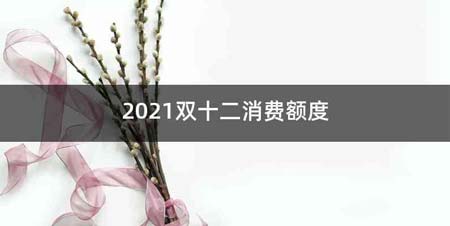 2021双十二消费额度
