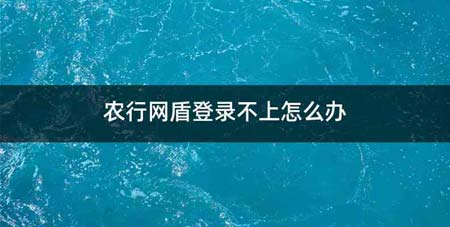 农行网盾登录不上怎么办
