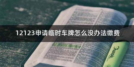 12123申请临时车牌怎么没办法缴费