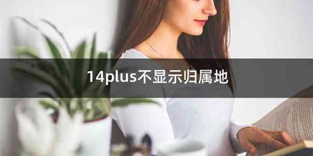 14plus不显示归属地