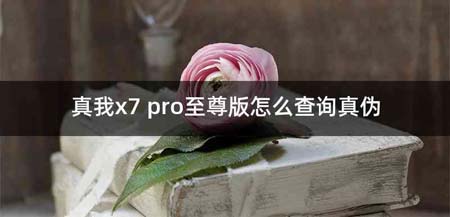 真我x7 pro至尊版怎么查询