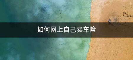 如何网上自己买车险