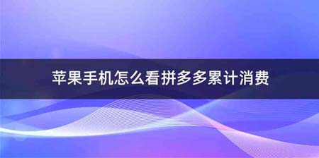 苹果手机怎么看拼多多累计消费