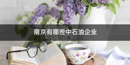 南京有哪些中石油企业