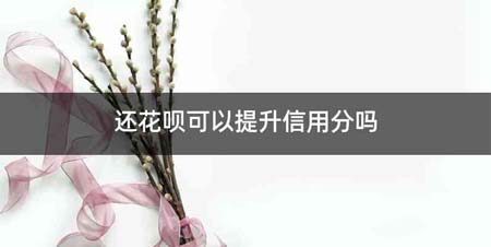 还花呗可以提升信用分吗