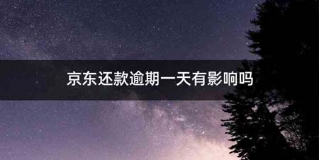 京东还款逾期一天有影响吗