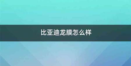 比亚迪龙膜怎么样