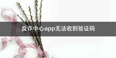 反诈中心app无法收到验证码