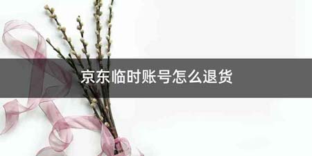京东临时账号怎么退货