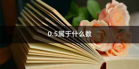 0.5属于什么数