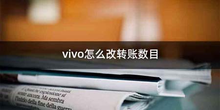 vivo怎么改转账数目