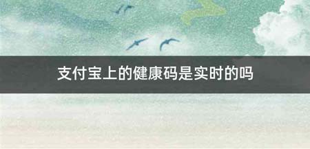 支付宝上的健康码是实时的吗