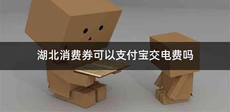 湖北消费券可以支付宝交电费吗