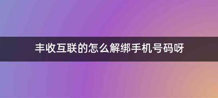 丰收互联的怎么解绑手机号码呀