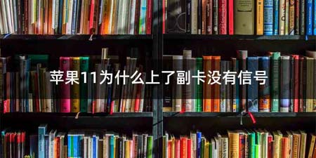 苹果11为什么上了副卡没有信号