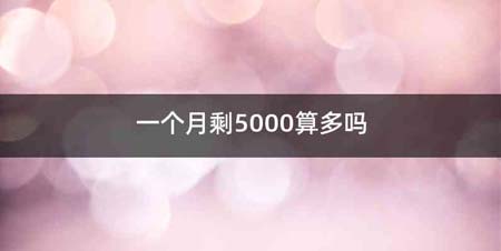 一个月剩5000算多吗