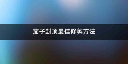 茄子封顶最佳修剪方法