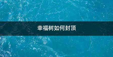 幸福树如何封顶