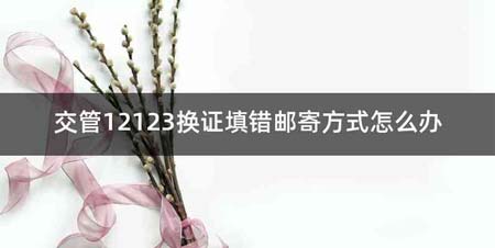 交管12123换证填错邮寄方式怎么办