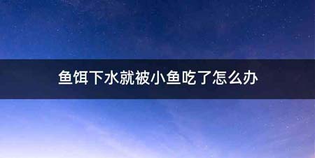 鱼饵下水就被小鱼吃了怎么办