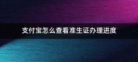 支付宝怎么查看准生证办理进度