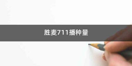 胜麦711播种量