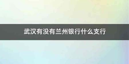 武汉有没有兰州银行什么支行