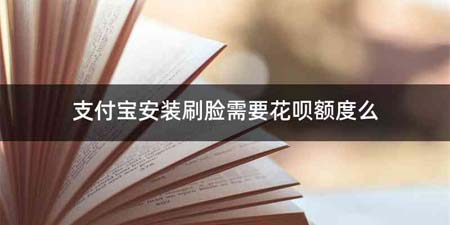 支付宝安装刷脸需要花呗额度么