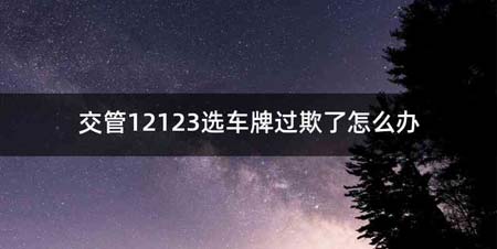 交管12123选车牌过欺了怎么办